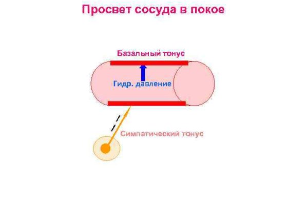Кракен тор krakens13 at